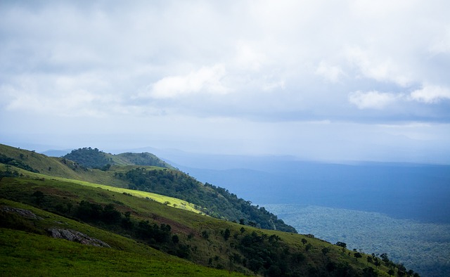望通过他的 望通过他的