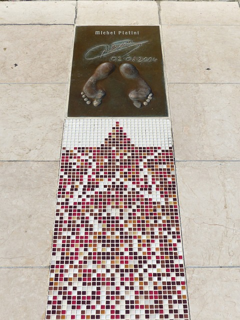 从卢教练的 从卢教练的