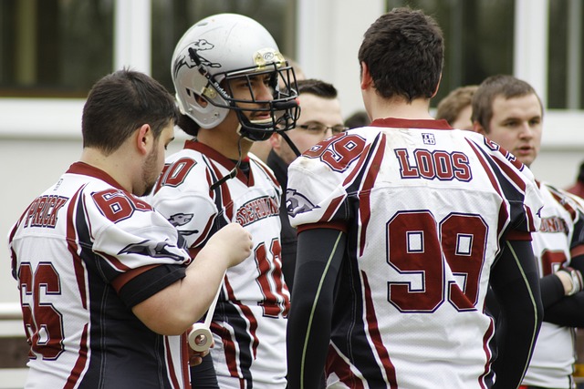 更是球迷们 更是球迷们