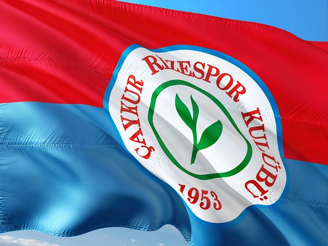 谈到奥萨苏 谈到奥萨苏